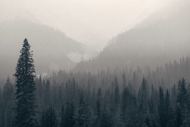 view down a snowy valley in a ski resort with trees